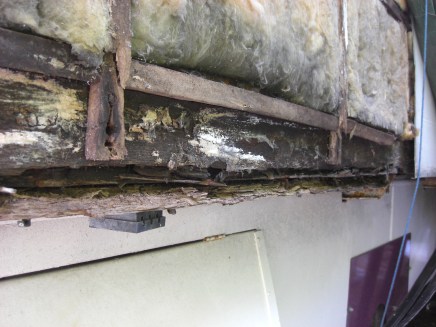 Rotten floor joists