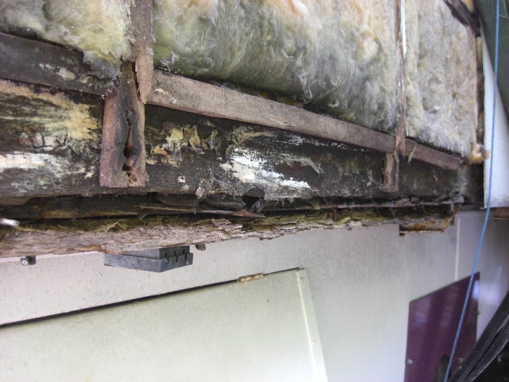Rotten floor joists