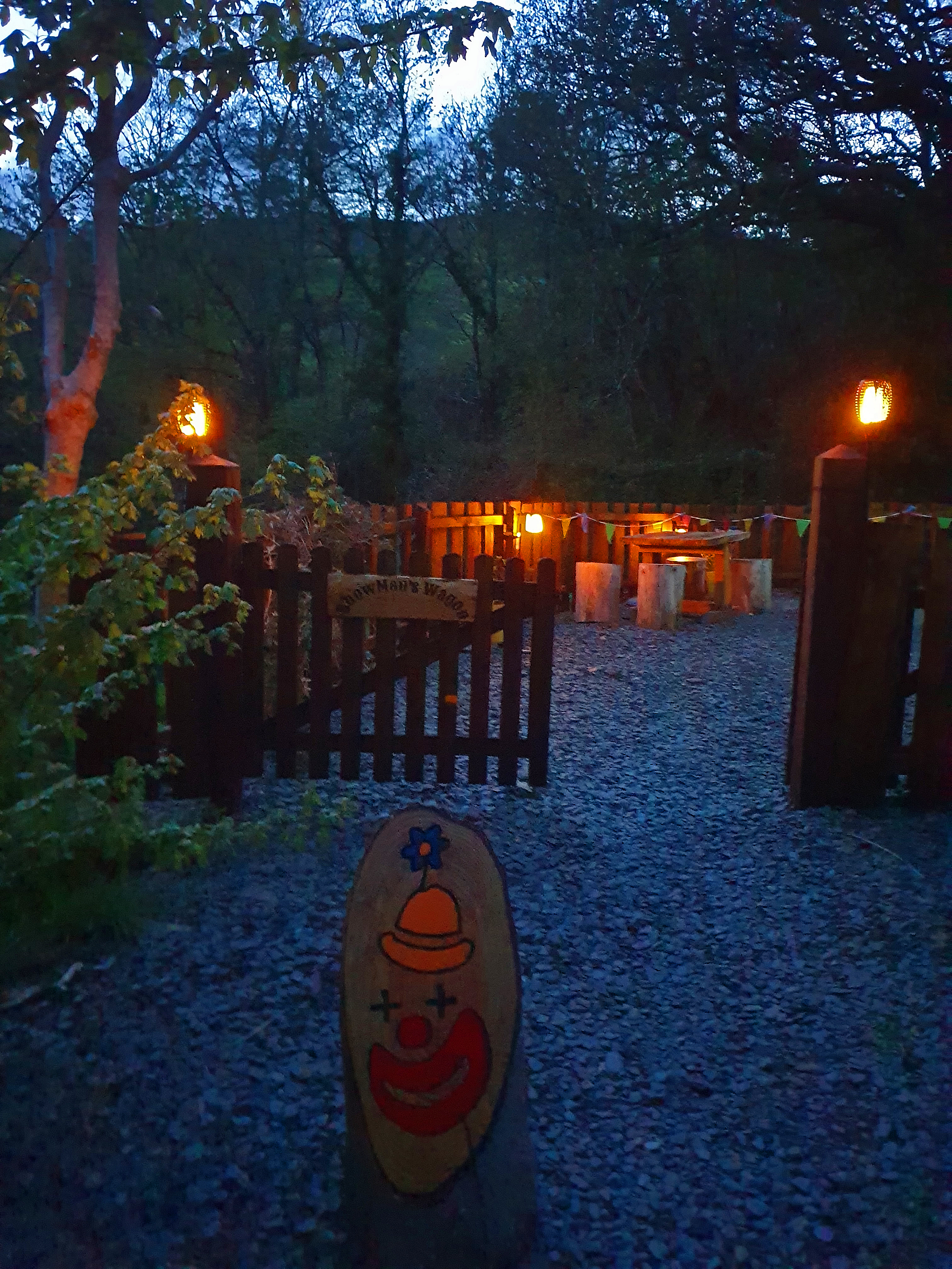 Solar lights in the garden